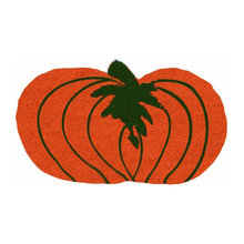 FALL SEASON