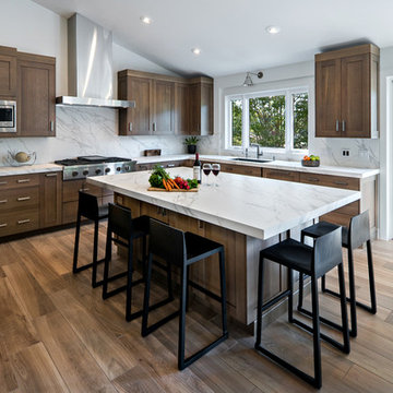 Laguna Niguel Whole Home