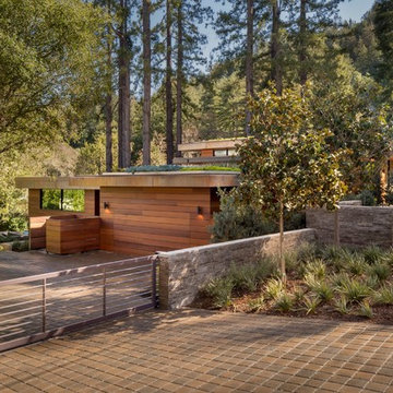 Redwood Grove