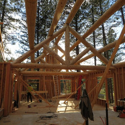 Hybrid Log & Framing Roof System - Building Materials