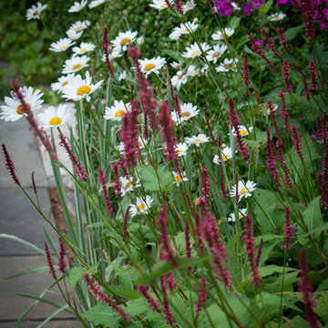 The Perennials of High Summer