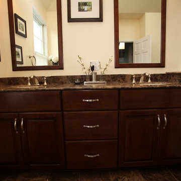 Full Home Remodel in La Grange, IL