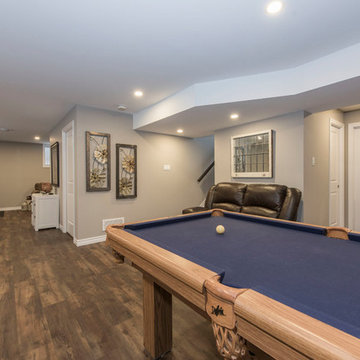 Chase Meadows Basement Renovation