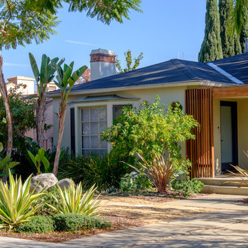 Front Yard Grass Swap