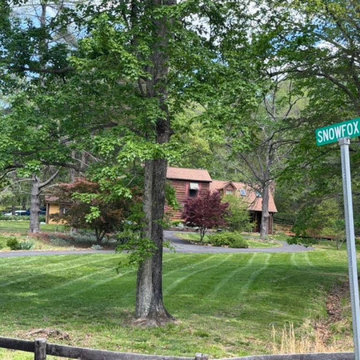 Landscape Maintenance & Trimming