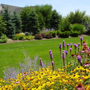 Rudbeckia, Liatris, Echinacea