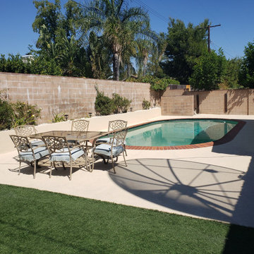 Backyard clean up and remodel