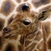 Aviva Boggs's photo