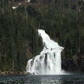 Pam Ann's photo