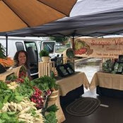 Dena Fahringer's photo