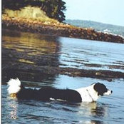 Janis Dreher's photo