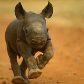Valentina Tedeschi's photo