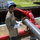 kavan_jackman