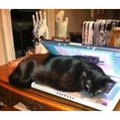 Barbara Heidt's photo