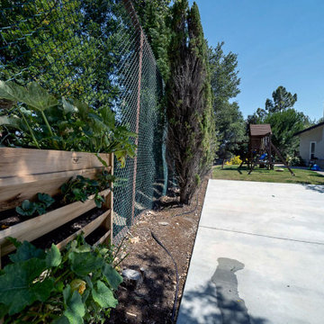 Hillsborough - Mediterranean Villa