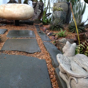 Jurassic Egg Cactus Garden