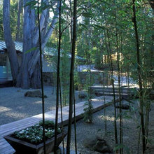 Landscape Ideas