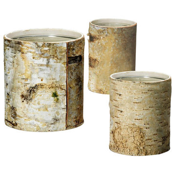 Serene Spaces Living Small Birch Cylinder Vase