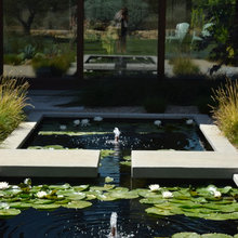 Ponds