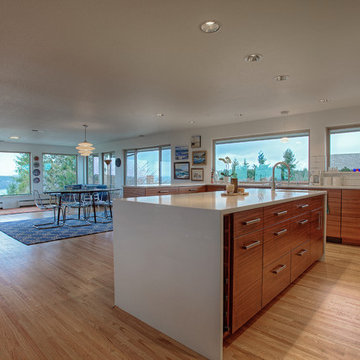 Mid-Century View House