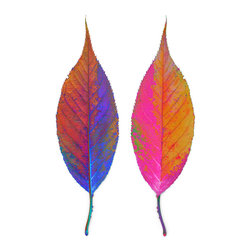 Chroma Leaf: 098 + back B - Fine Art Prints