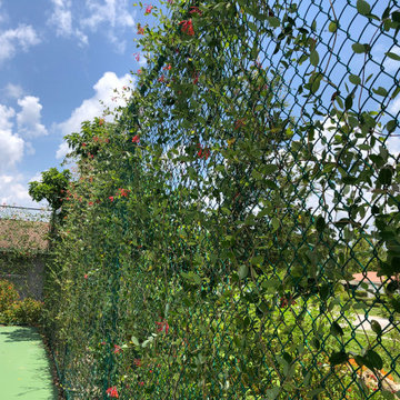 Transformed tennis court, fomerly unused front yard, now a gathering space.