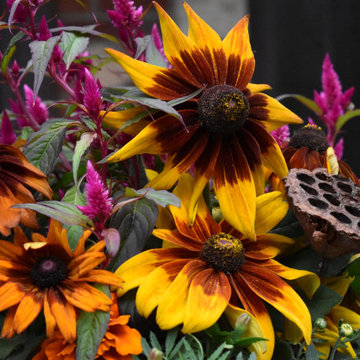 Fall Containers