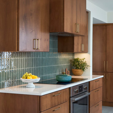 Mid-Century Modern Renovation