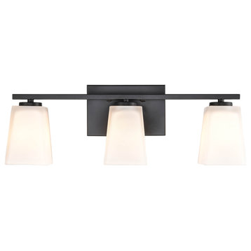 3 Light 21 in. Matte Black Vanity