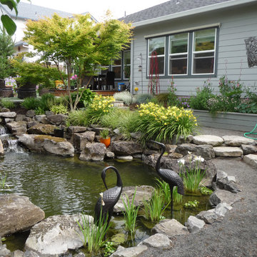 Oasis Garden