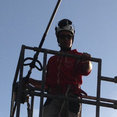 Foto di profilo di PROGETTO VERDE DI PAPA MICHELE
