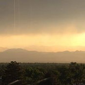 Shawna Lee's photo