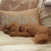 Elisa Sullivan's photo