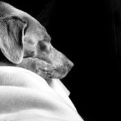 Christopher Paquette's photo