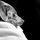 christopher_paquette82