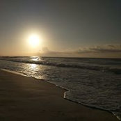 Brenda Seastedt's photo