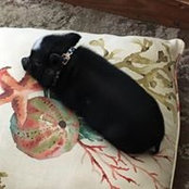 Vickie Sorrell's photo
