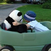 Ron Car's photo