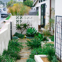 Front yard