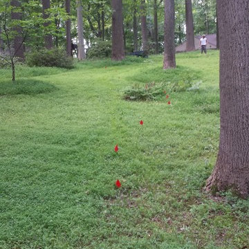 Landscaping and river rock drainage swale
