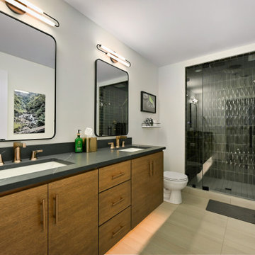 Leawood Lower Level Remodel