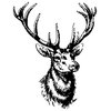 Wall Vinyl Sticker Decal Animal Deer Buck Elk Cute Horns z001, White, 22x35"