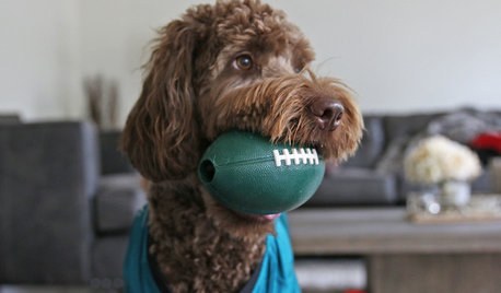 Pet’s Place: Game Day-Ready at This Pennsylvania Home