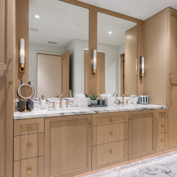 Two-Story Penthouse Renovation, W Dallas South Tower