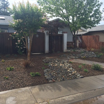 Turf removal