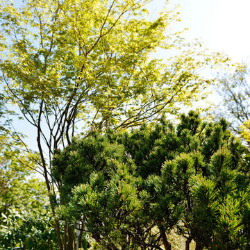 Premier prix du jury à Jardin en Seine
