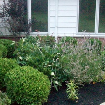 Rinat Spring Clean-up and reclamation