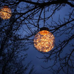 Specialty Lights - Landscape Lighting