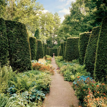 potential backyard vibe