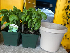 hang plants from fence Plant Hanger